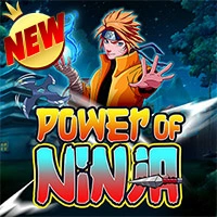 power of ninja